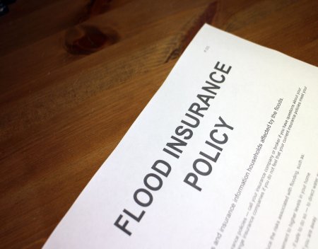 annual flood insurance premium