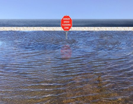 flood zone determination map by address