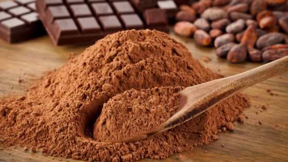 What is Dutch Processed Cocoa?